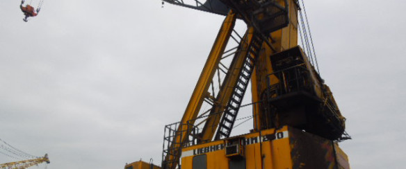 Liebherr LHM 250 for sale
